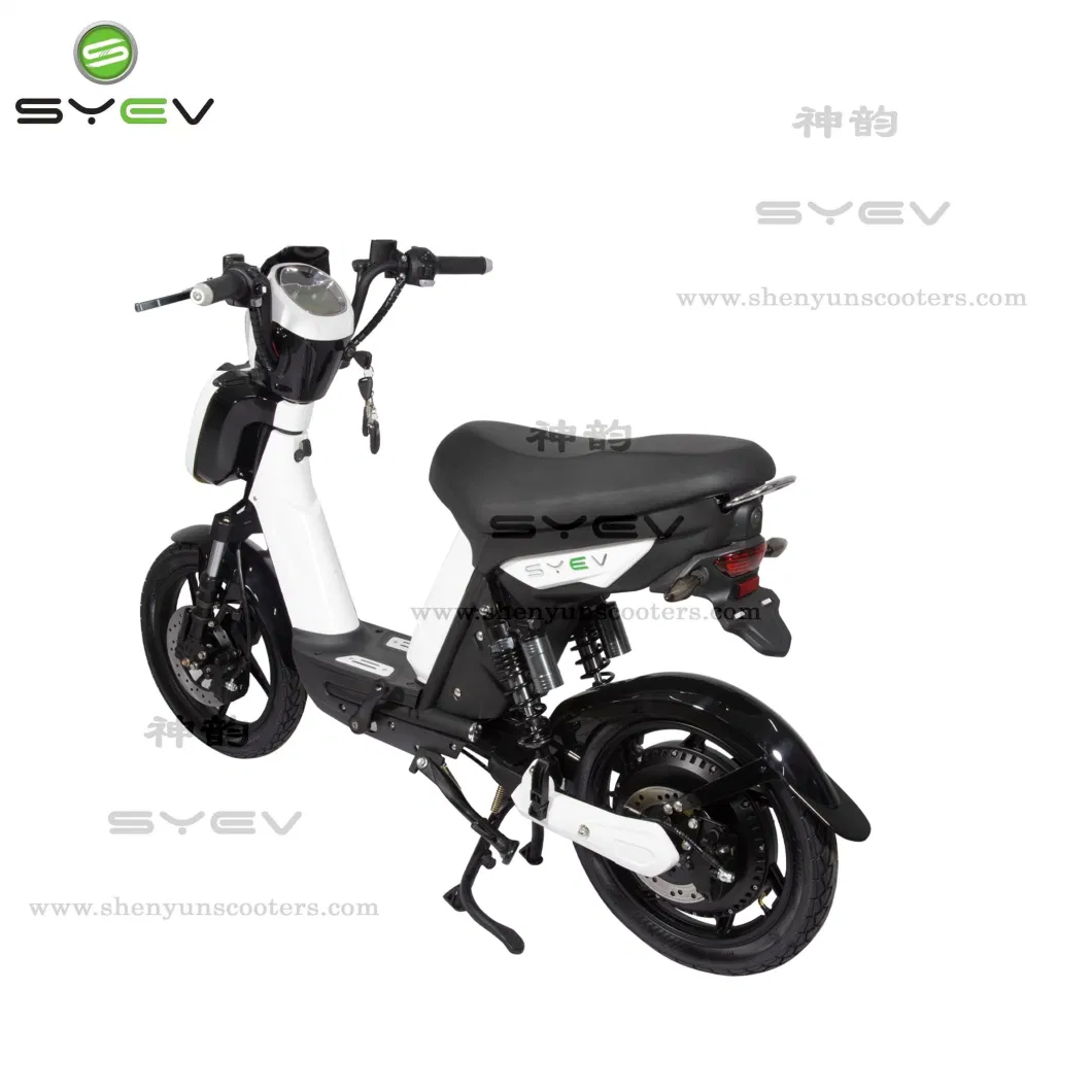 Syev 2 Wheel Electric Bike 800W Electric Mobility Scooter with 48V20ah Lithium Battery