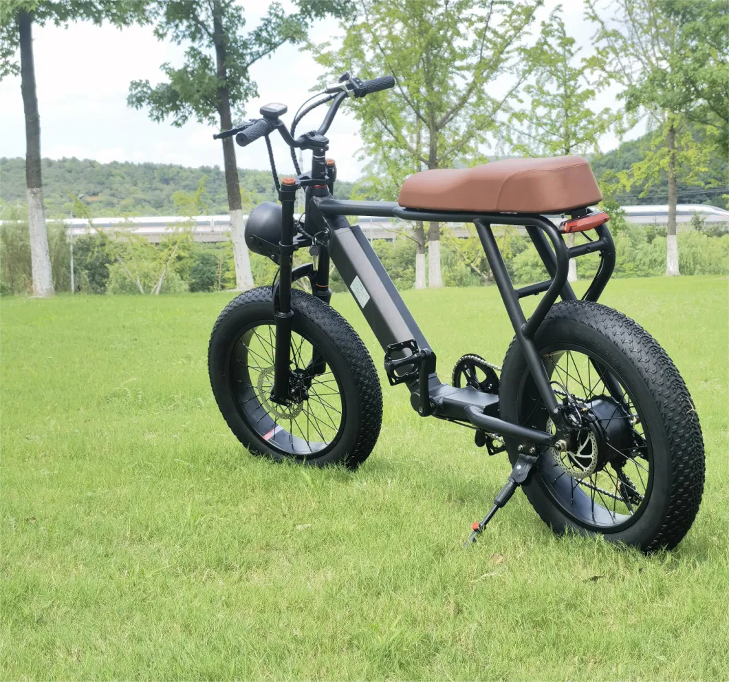 Fast Delivery Electric Bicycle Is Cheap 6-Speed 48V 500W Fat Urban Electric Bike Adult Outdoor 20 Inch