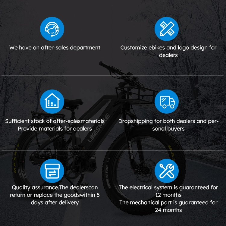 All-Weather Electric Mountain Bikes for Year-Round Riding 11 Speed Freewheel Ebike Electric Bike