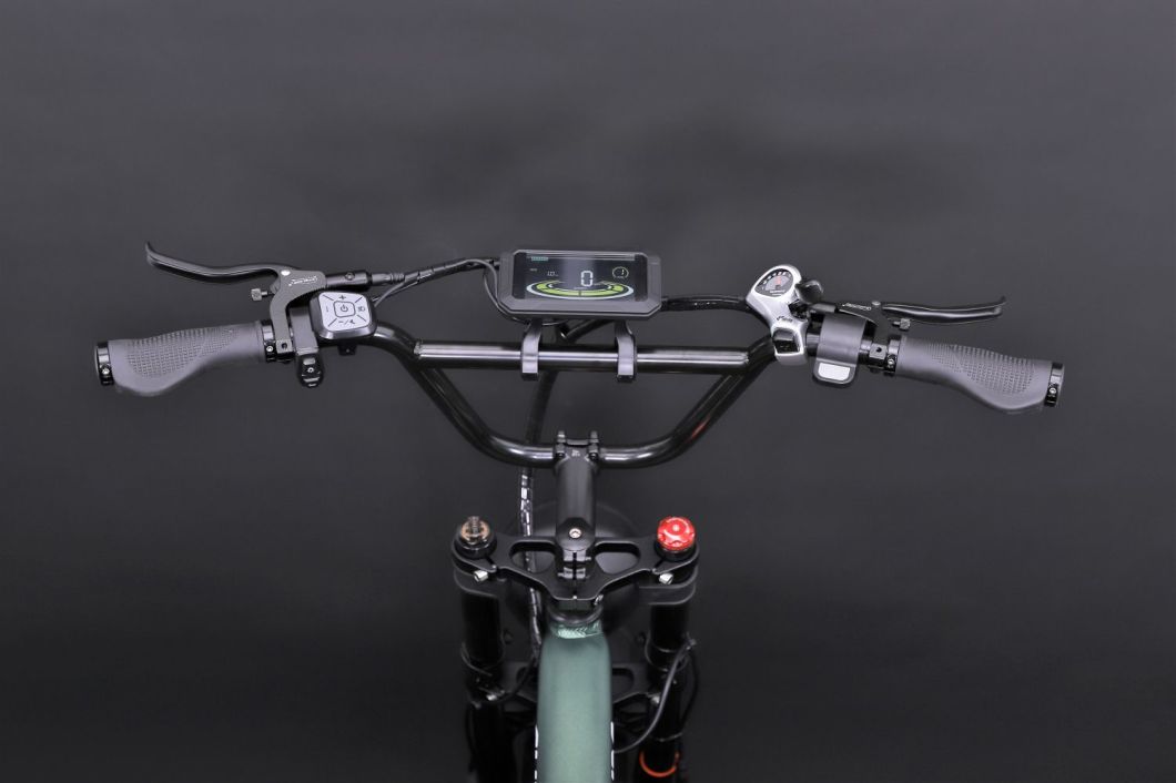 Electric Bicycle Alloy Frame Bicycle City Adult Commuting 20 Inch Electric Bike for Adult