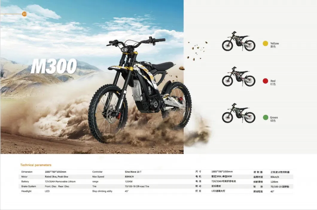 M300 Electric Dirt Bike 3000W
