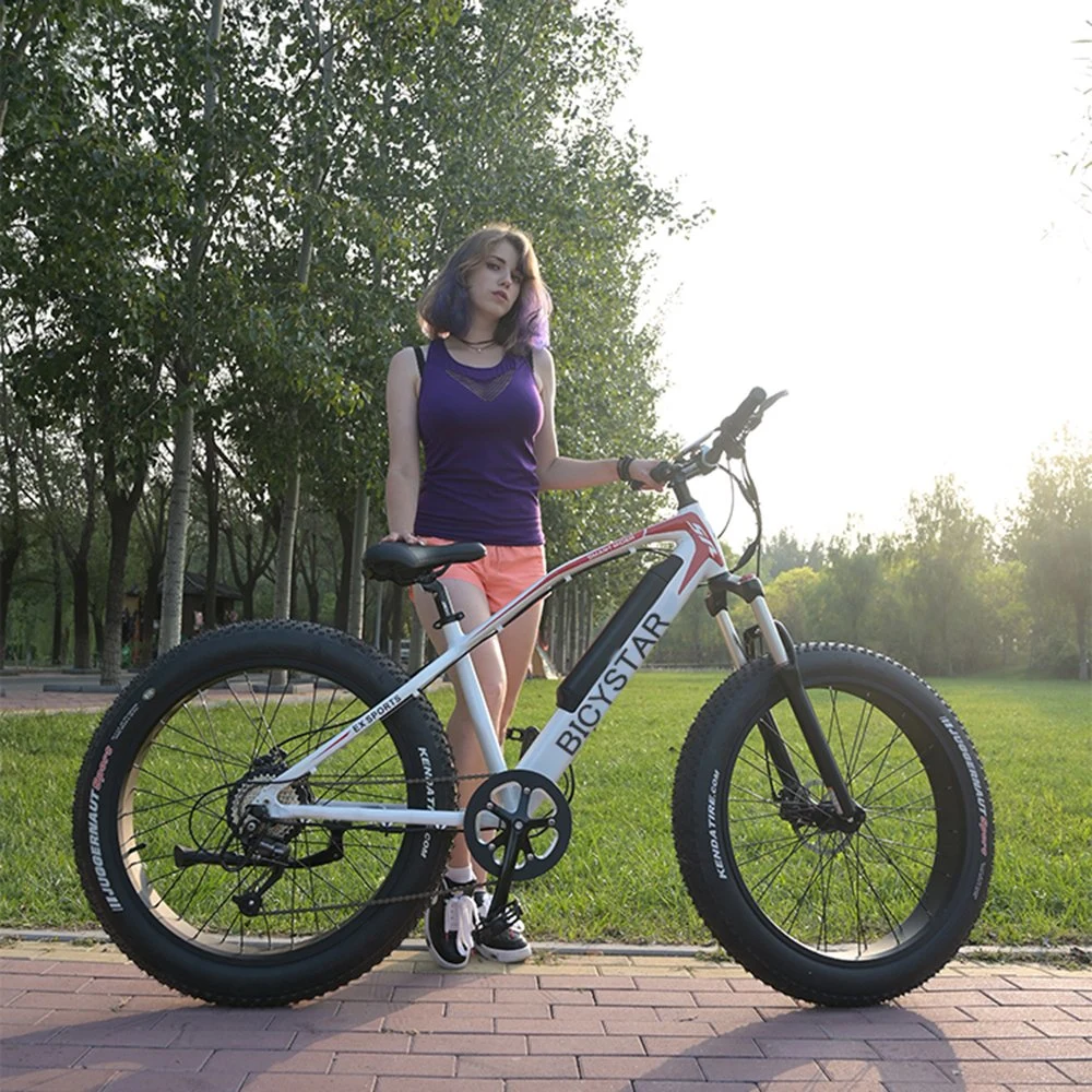 Fast Delivery 29 Mountain Electric Bike Ready Stock with Full Suspension Discbrake Mountain Bicycle