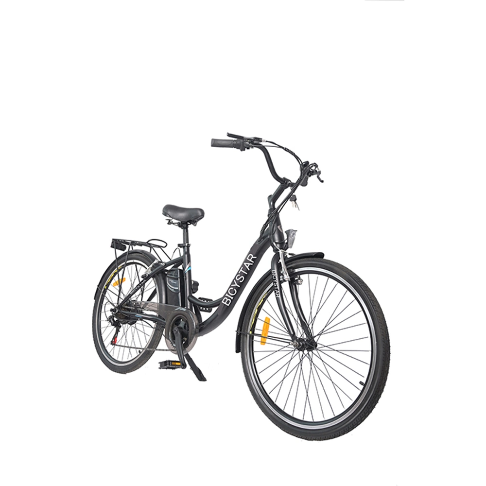 E-Bike 500W/E-Bike Electric Bicycle/Easy Bike Electric Bike
