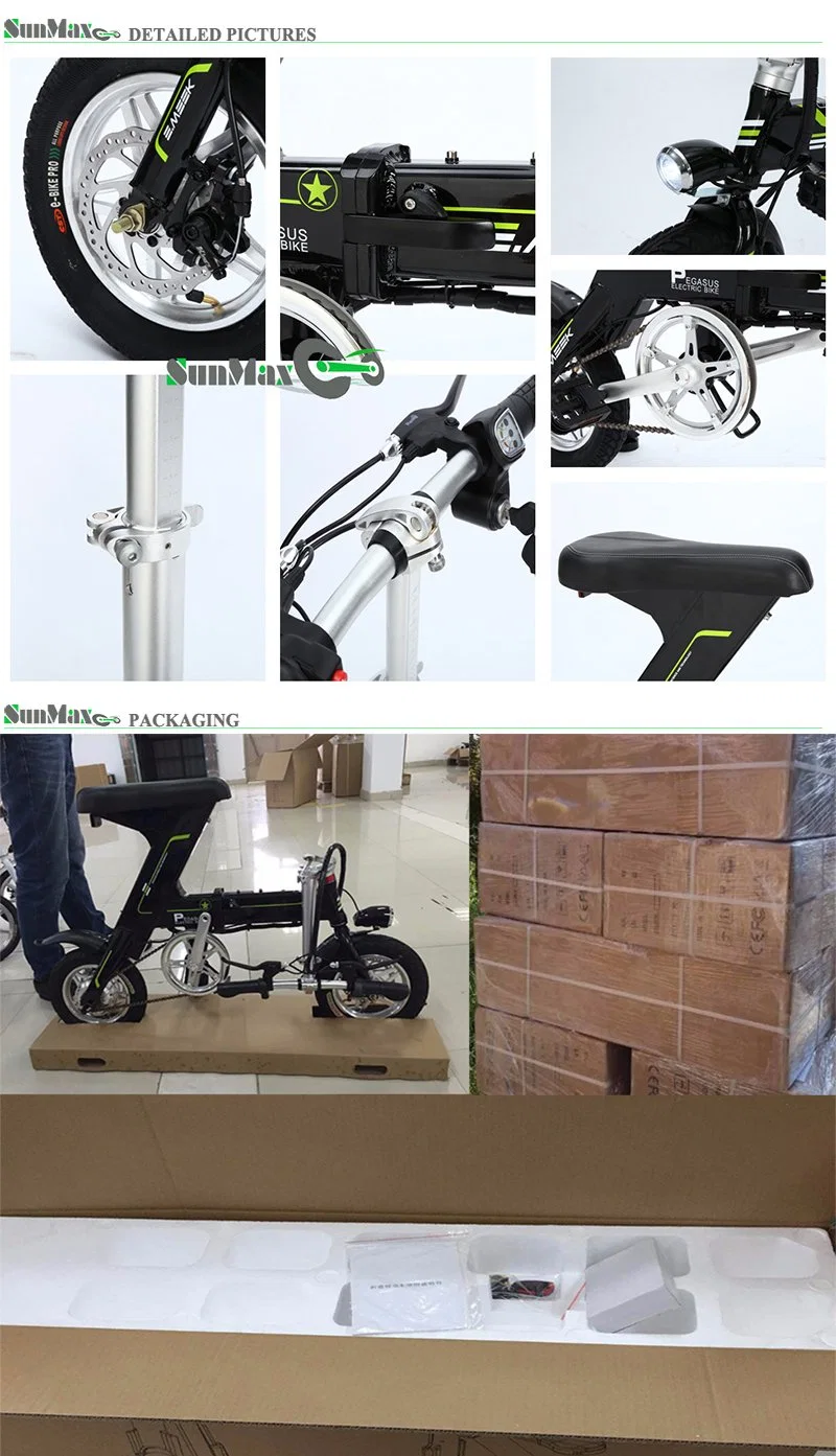 Simple Folding E-Bike Electric Bicycle China Price