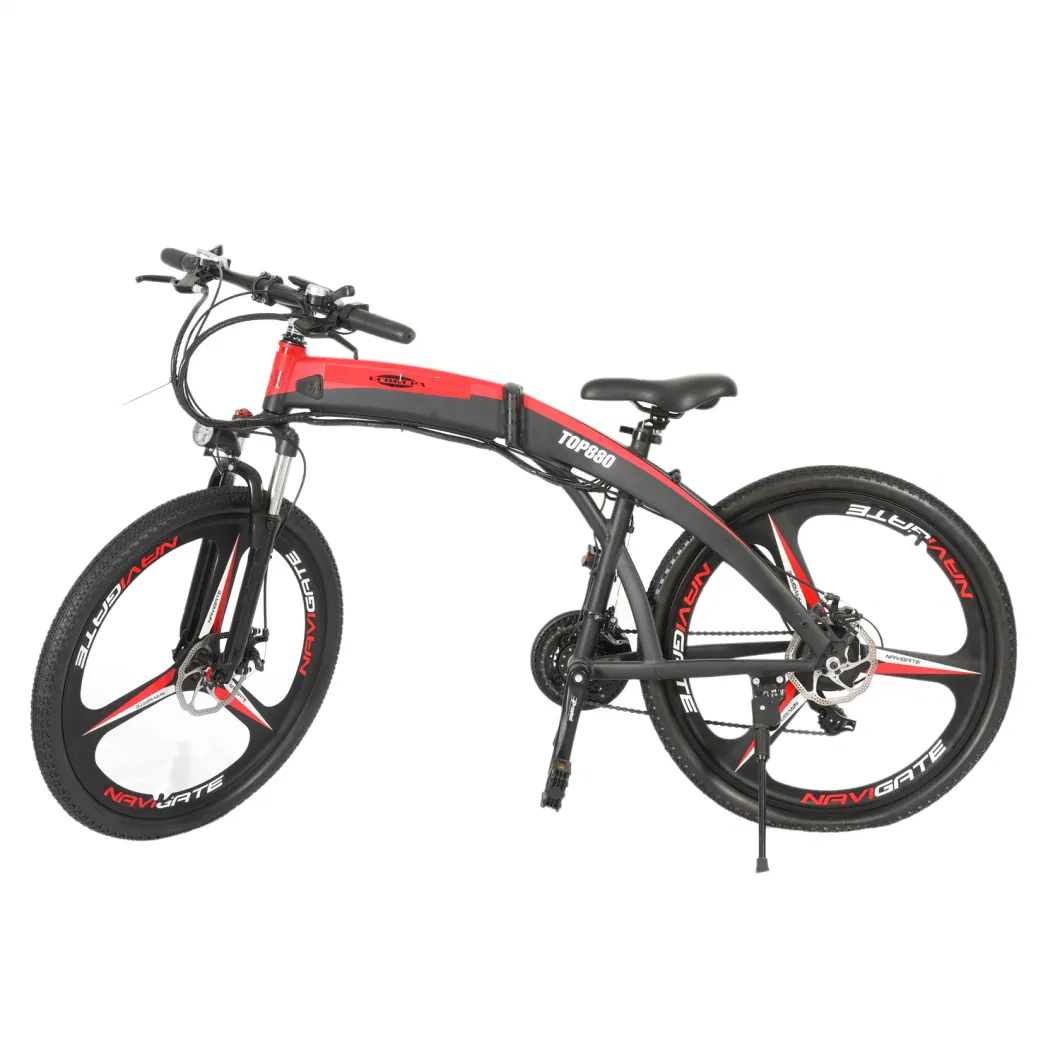 Electric Mountain Bike Electric Motrocycle Electric Bike Double Dmaplhing in Detachable Battery 36V 250W Motor