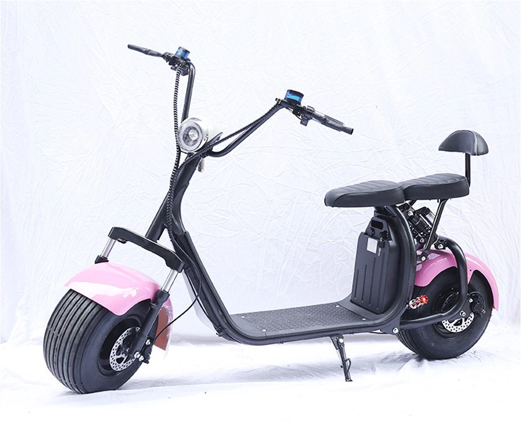 Wholesaler 2 Wheel Electric Motorcycle Scooter Bike Scooter Adult Electric Motorcycle Adult E-Bike for Gift