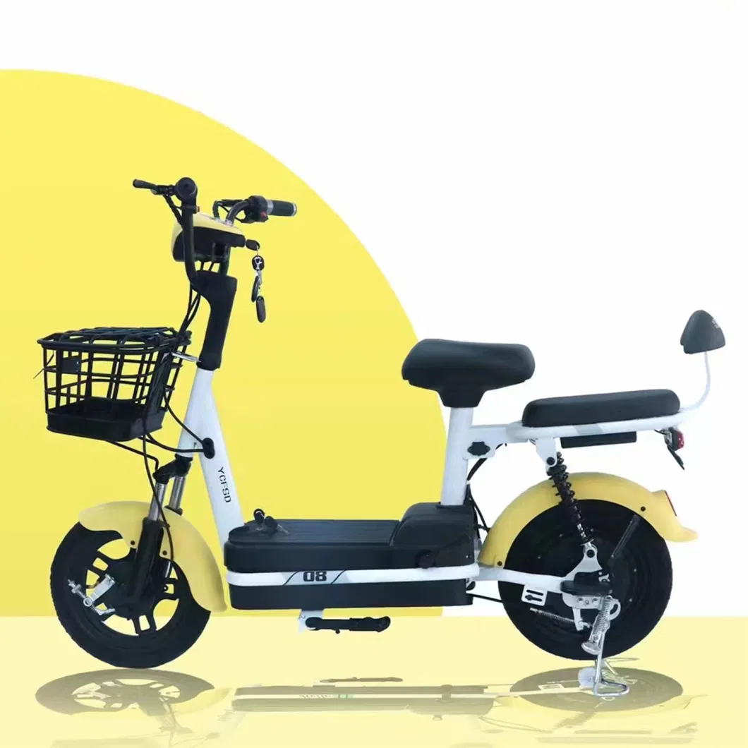 China Manufacturer Electric Bike 48V Long Range Two Wheel Electric Bicycle 2 Seats Pedals E Scooter for Adults OEM