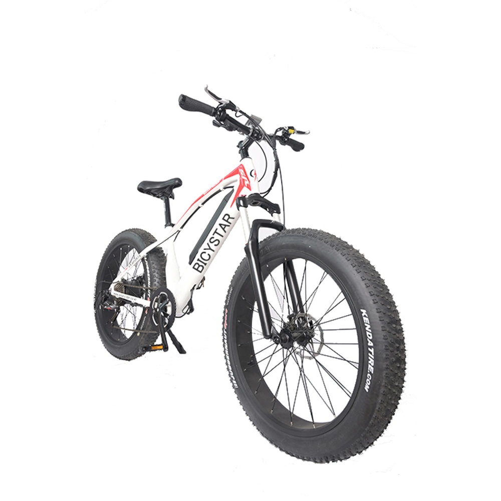 Fast Delivery 29 Mountain Electric Bike Ready Stock with Full Suspension Discbrake Mountain Bicycle