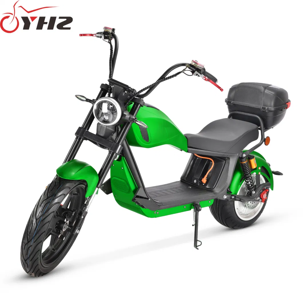 New Style Europe Road Legal Electric Bike 2000W Adult Chopper with EEC