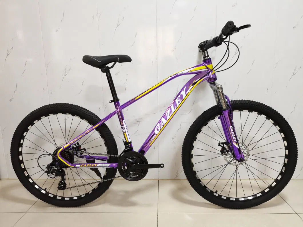 Brand New 2021 Mountain Bicycle E Bike MTB Bike Ready to Ship From Bicycle Supplier