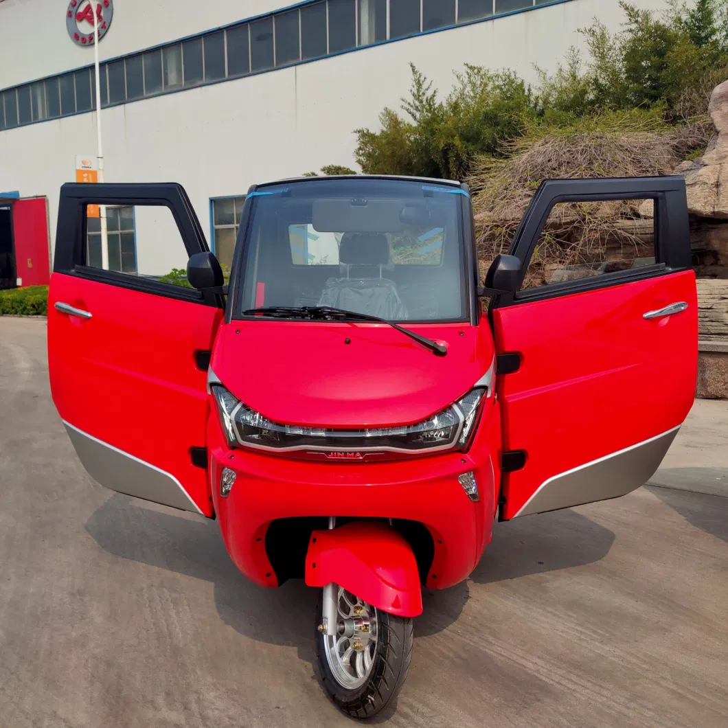 Enclosed Adult Tricycle Electric off Road with EEC Certificate