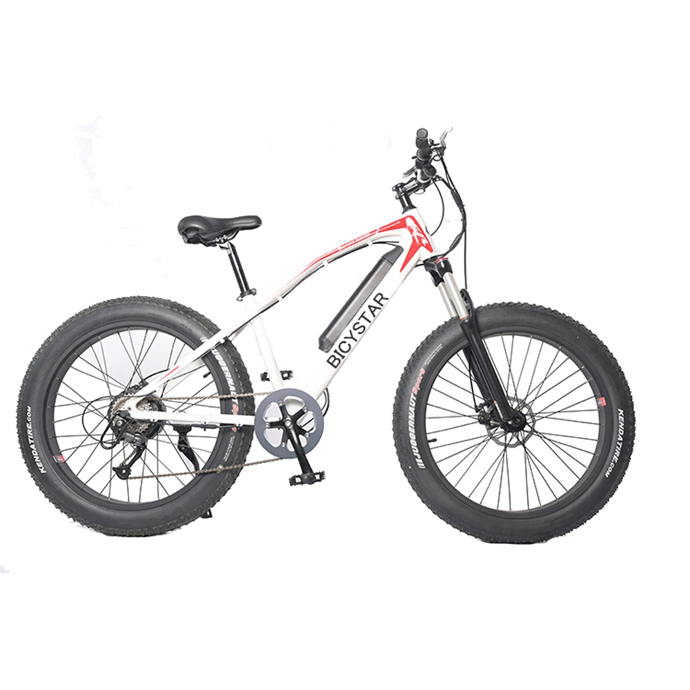 Fast Delivery 29 Mountain Electric Bike Ready Stock with Full Suspension Discbrake Mountain Bicycle