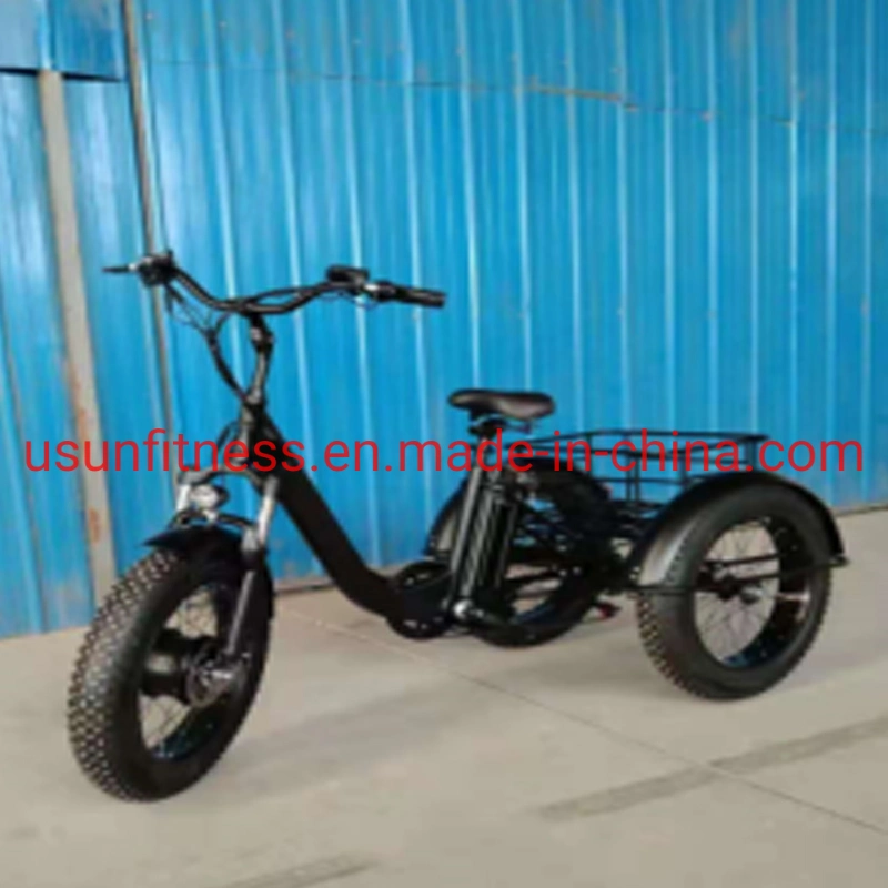 Wholesale Aluminum Alloy Fat Tire Electric Bike Electric Bicycle Mountain Electric Bike with Lithium Battery