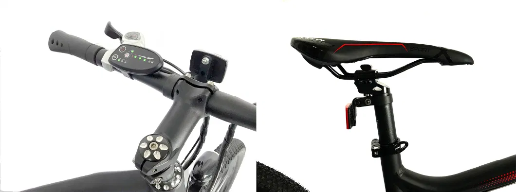 New Model Hidden Battery Electric Mountain Bicycle