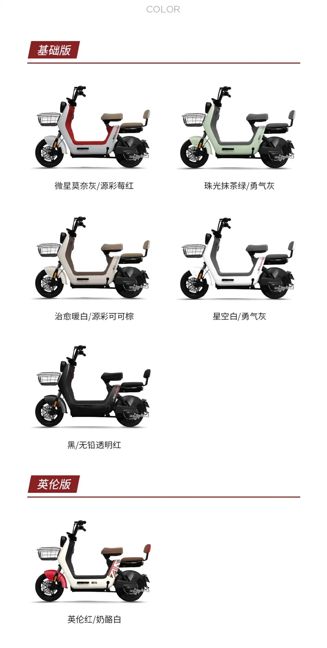 2023 New Arrival Electric Bike Aima Brand E Reach Model Hot Sell