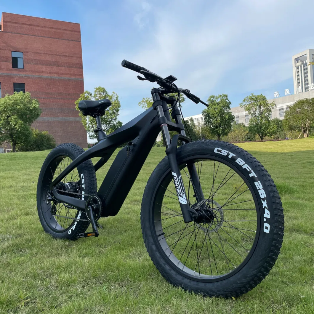 City Cruiser 48V13ah All Terrain 4.0 Inch Wide Fat Tire 750/1000W Beach Cruiser Electric Bike