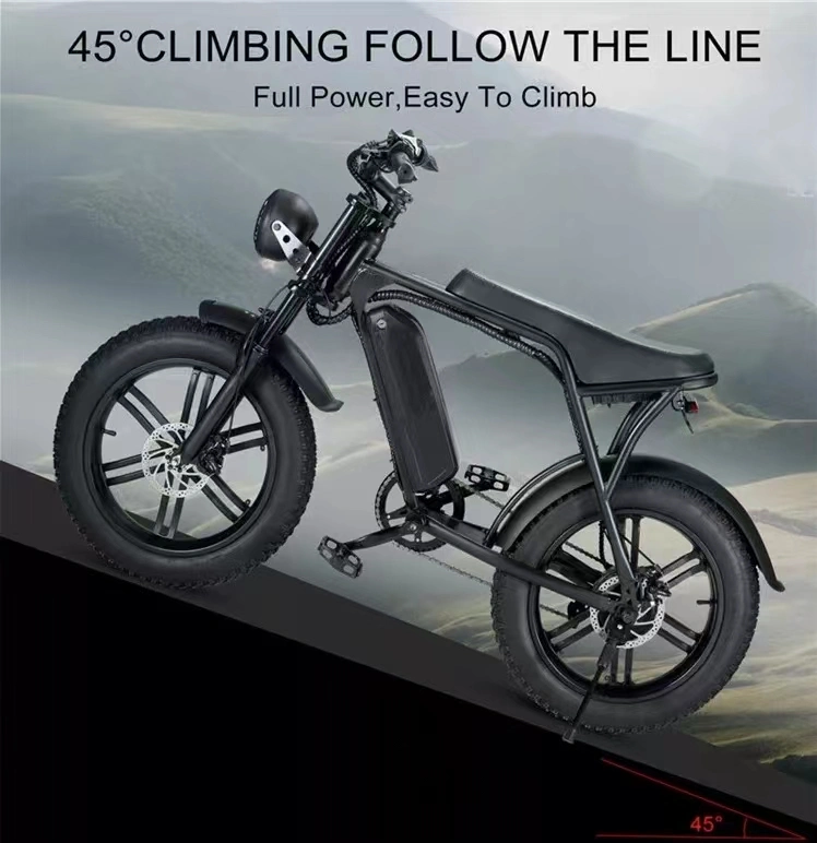 off Road Fat Tire Folding Fast Electric Dirt Bike Mountain City Road Bicycle E Bike Cycle