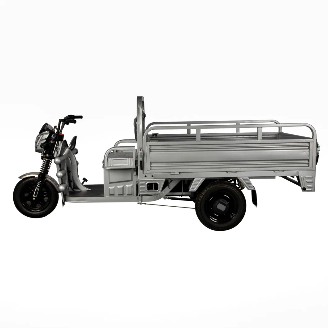 3 Wheel Electric Tricycle, Cargo Tricycle, Electric Cargo Motorcycle (ZH-01)