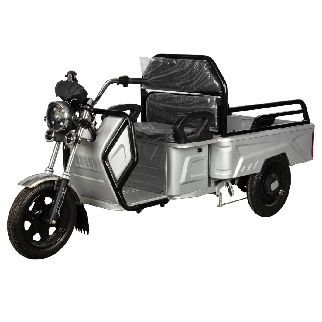 3 Wheel Electric Tricycle, Cargo Tricycle, Electric Cargo Motorcycle (ZH-01)