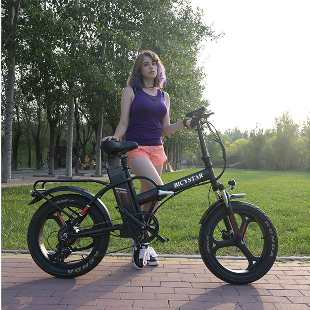 2023 New Design Folding Electric Bike 20 Inch EU Fat Tire Mountain Bicycle Lighweight to Buy