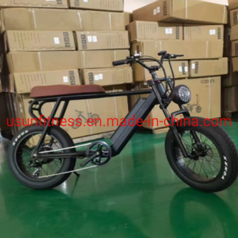 Wholesale Aluminum Alloy Fat Tire Electric Bike Electric Bicycle Mountain Electric Bike with Lithium Battery