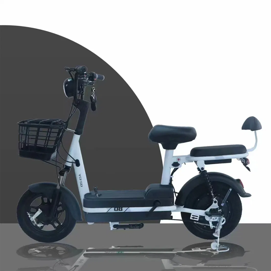 China Manufacturer Electric Bike 48V Long Range Two Wheel Electric Bicycle 2 Seats Pedals E Scooter for Adults OEM
