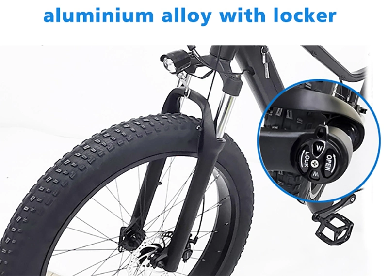 Electric Bike 13.6A Waterproof Integrated Cable Electric Bicycle 48V 750W Motor Ebike