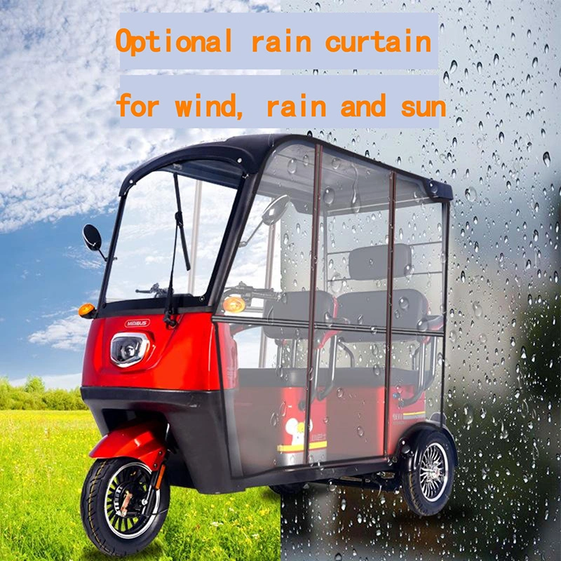 Adults E Trike 3 Wheel Cargo Bike Passenger Motorcycle Adult with Roof Electric Tricycles