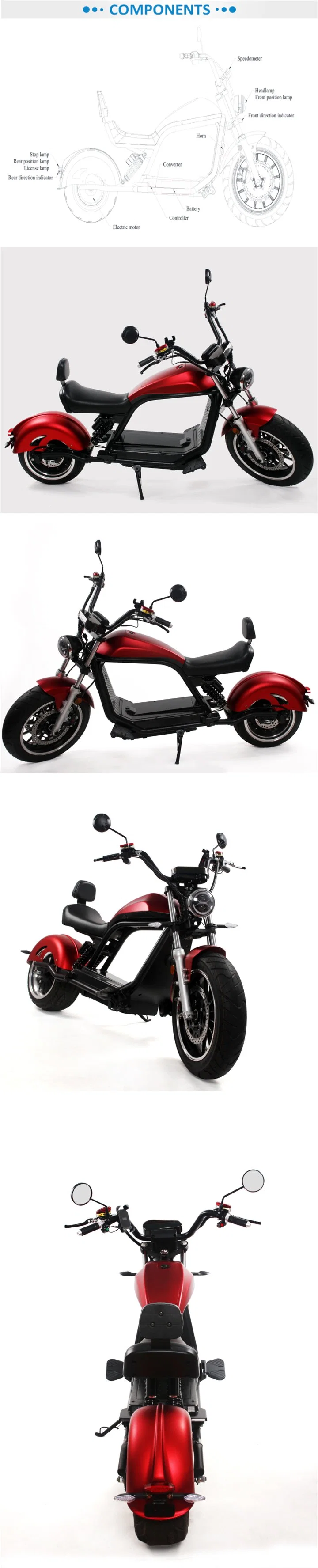 Adult Electric Bike Electric Bicycle E-Scooter Luqi Hl 6.0s