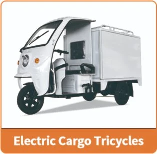 3 Wheel Bike Adult Cargo Electric Tricycles