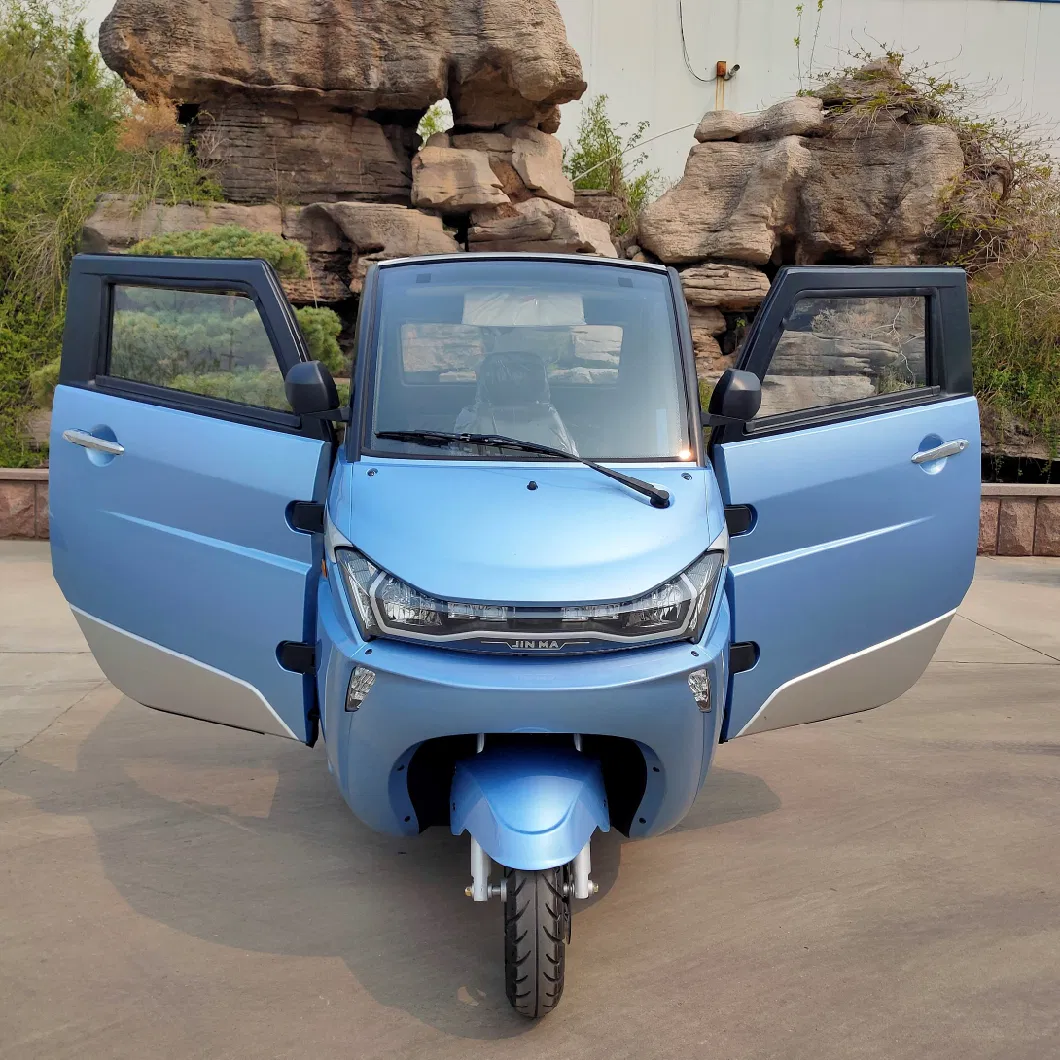 Enclosed Adult Tricycle Electric off Road with EEC Certificate