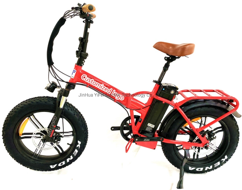 Electric Mini Fat Tire Ebike Bike Factroy Electric Motor Bicycle Magnesium Wheel