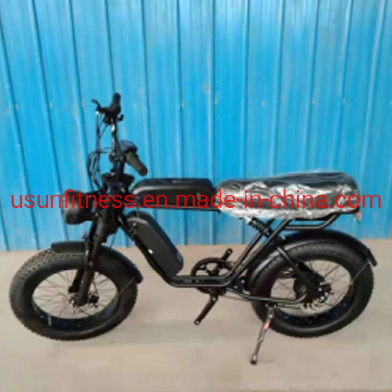 Wholesale Aluminum Alloy Fat Tire Electric Bike Electric Bicycle Mountain Electric Bike with Lithium Battery