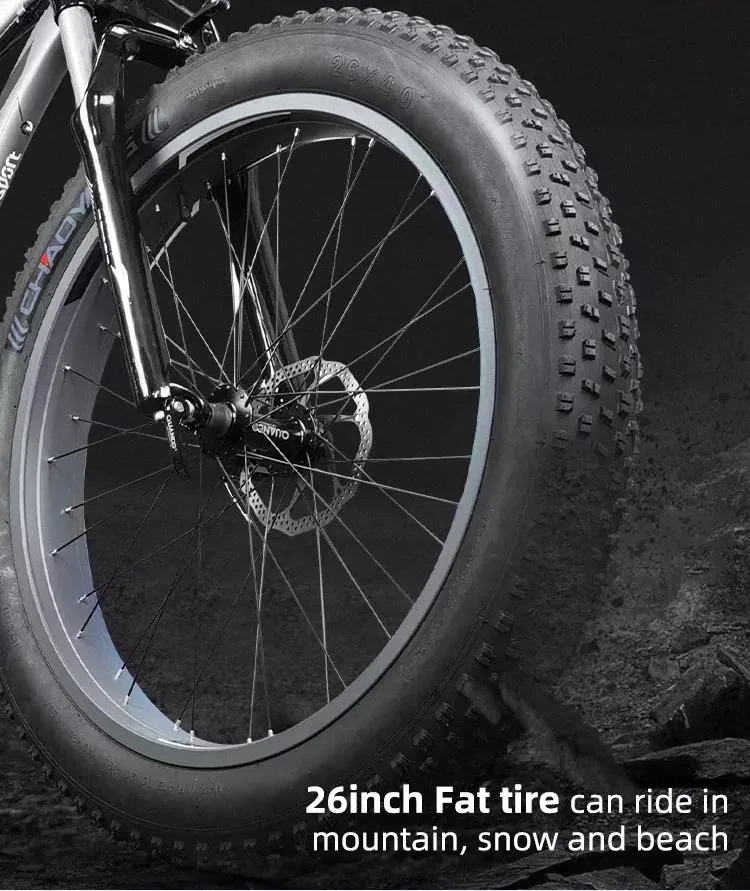 Fat Tire Electric Bike E-Bike Aluminum Alloy 26 Inch 48V Electric Fat Tire Bike Adult