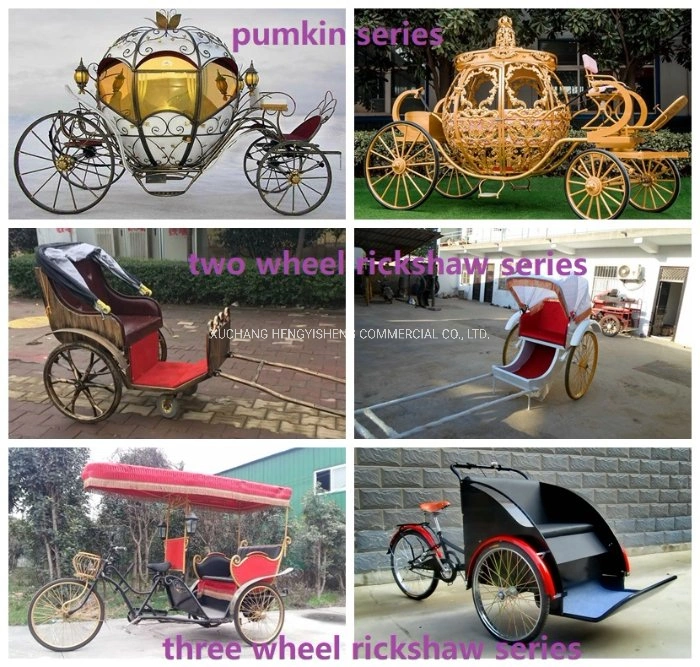 Top Quality 2 Wheel Electric Rickshaw/Electric Rickshaw for Exhibition
