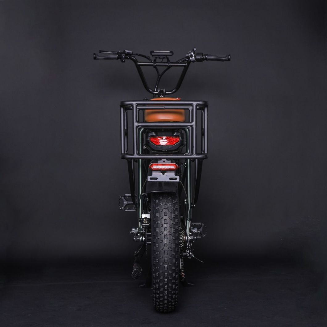 Luxury 2 Wheel Electric Bike Electric Moped with Pedals Motorcycle Electric Bike