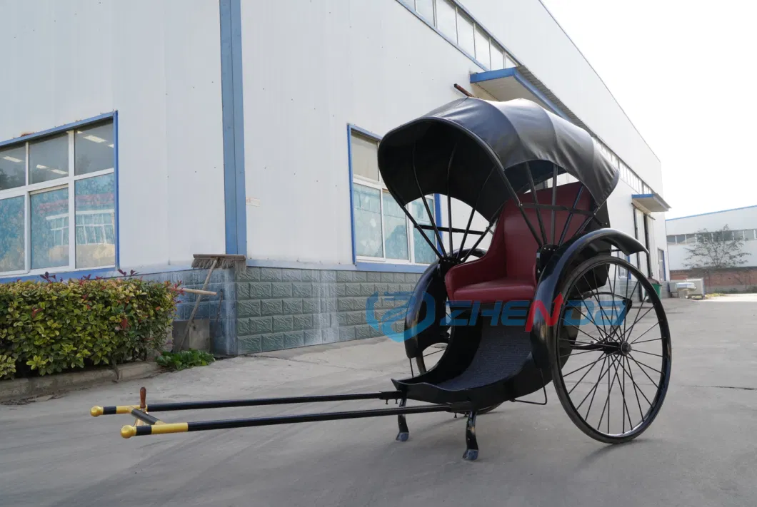 China Passenger Rickshaw/OEM New Model Taxi Pedicab Bicycle Tricycle Rickshaw Pedicab for Sale/Electric Cargo Bike