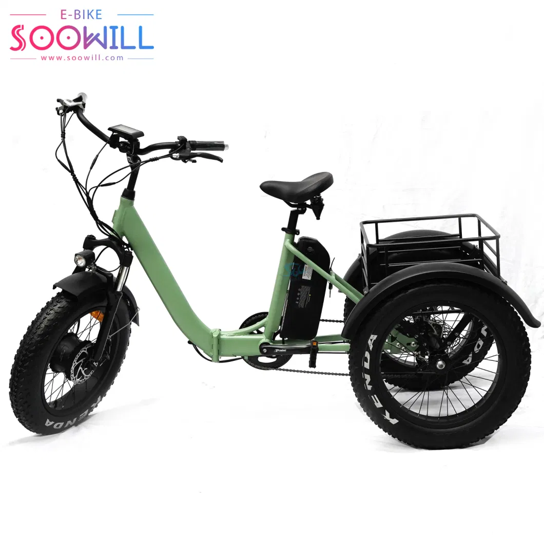 Microprocessor Other Tyre Fat Tire Adults 20 Inch Electric Tricycle with Seat