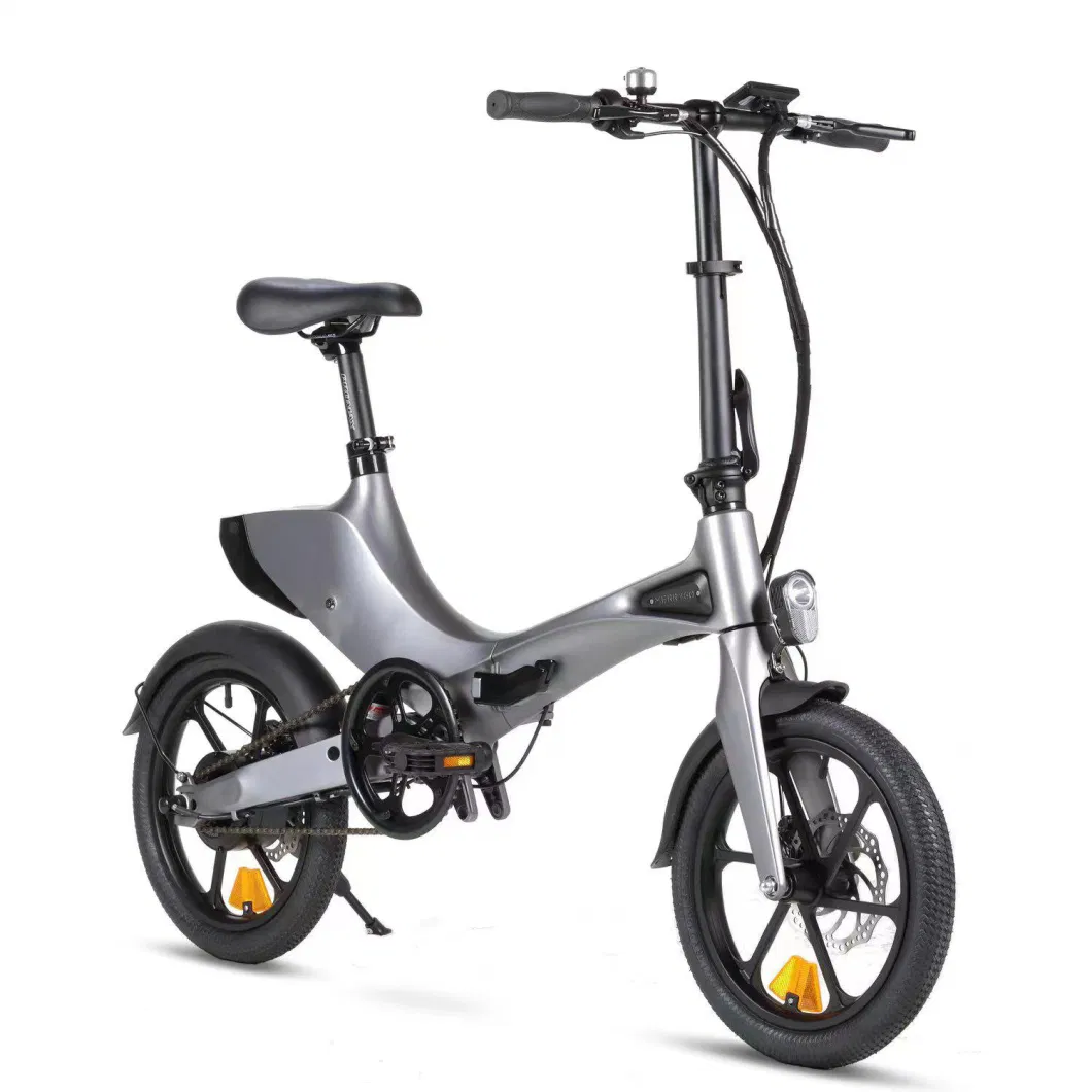 Foldable Ebike 300W Hub Motor Electric Bike Folding Electric City Bicycle