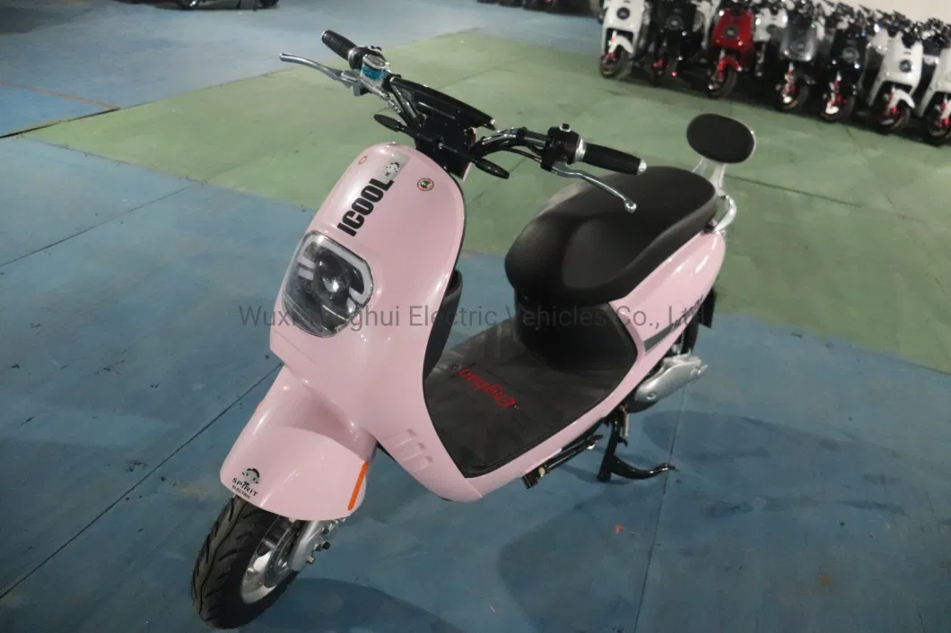 Chinese Warehouse High Quality Electric Scooter 1000W Electric Bike 48V for Adults