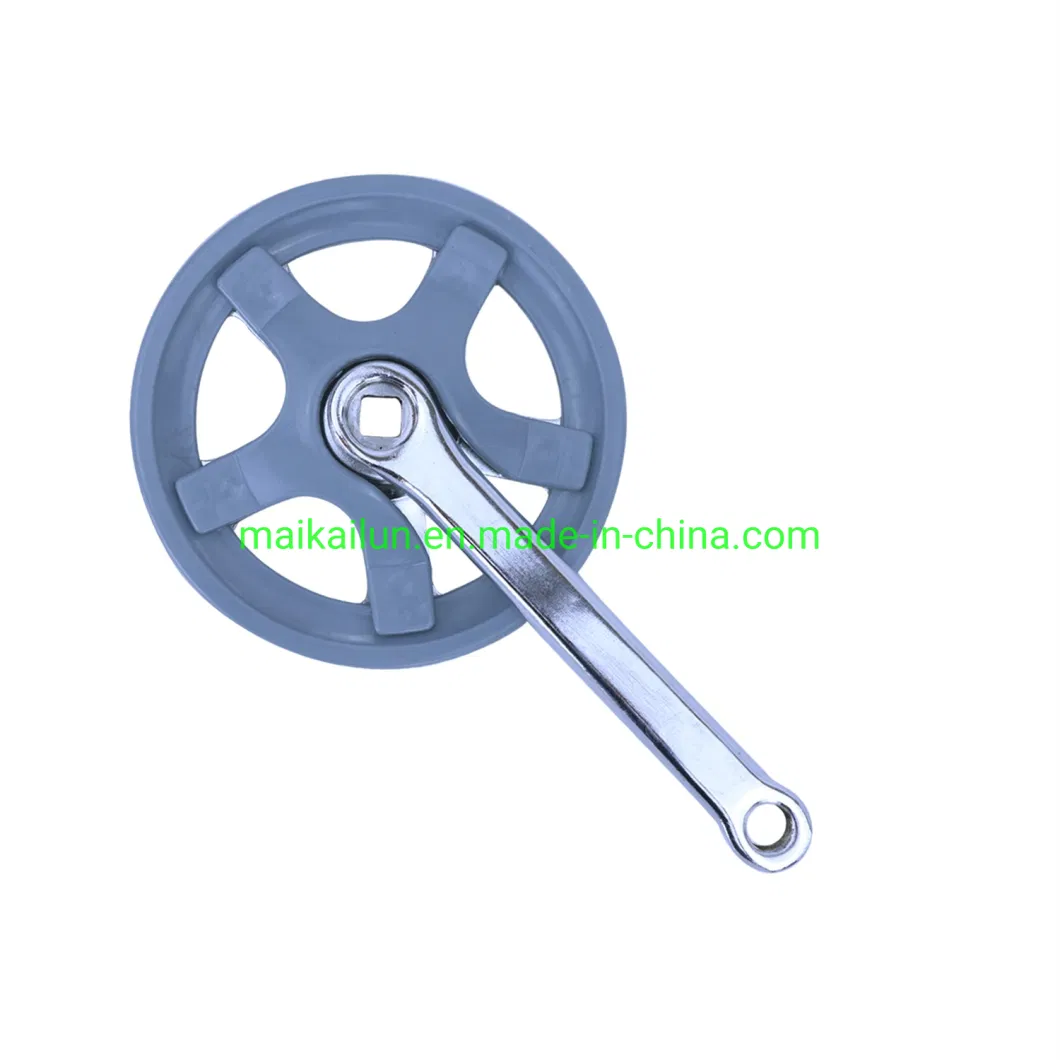 Bicycle Chain Wheel and Crank with Silver Cover for Bicycle Cwc OEM