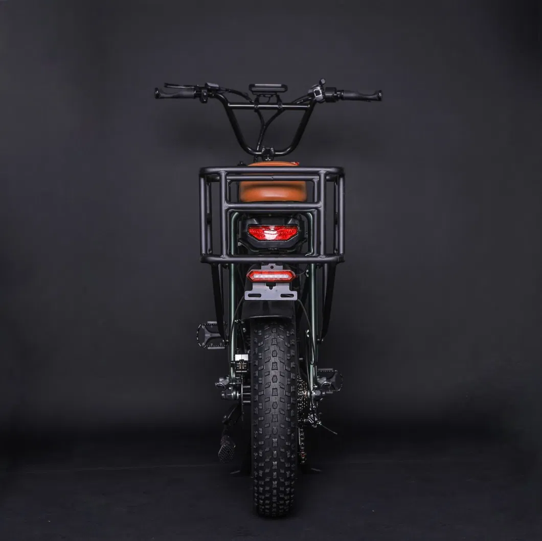 Urban Leisure Electric Scooter Moped Electric Bicycle