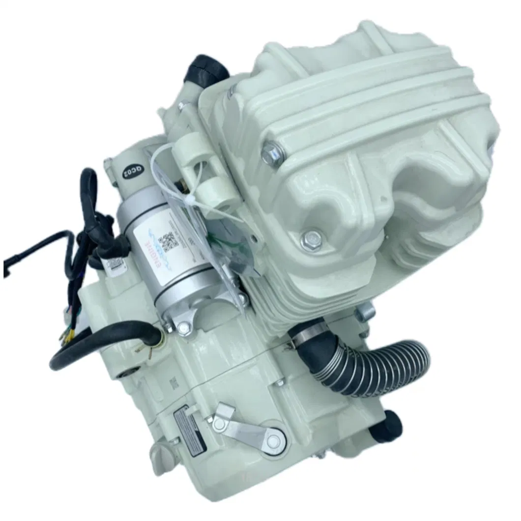 OEM Zongshen motorcycle 300cc High Displacement Water-Cooled Engine Fit for Three-Wheels Moto Freight