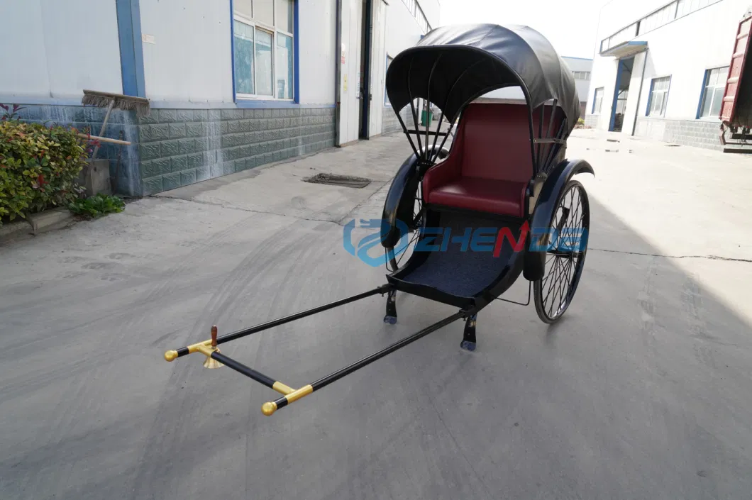 China Passenger Rickshaw/OEM New Model Taxi Pedicab Bicycle Tricycle Rickshaw Pedicab for Sale/Electric Cargo Bike