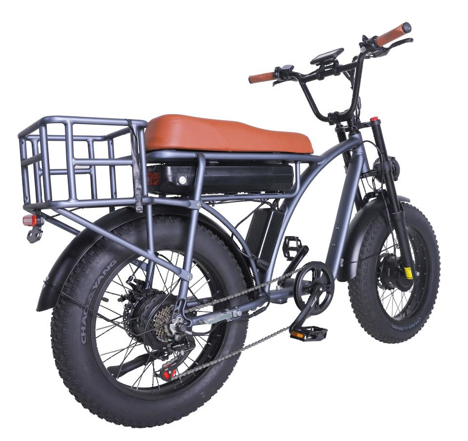 1000W Power Retro Vintage E Bike Cargo Ebike Beach Fat Tire Bicycle Electric Bike