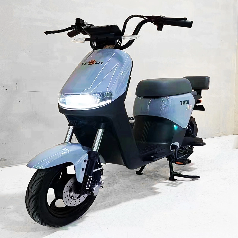 48V Electric Bicycle, Electric City Bike, Electric Cycle