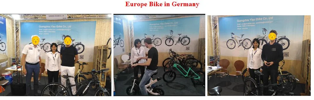 Beach Rapidly Electric Bicycle 36V 14ah 250W/350W Electric Bicycle Steel Frame Ebike
