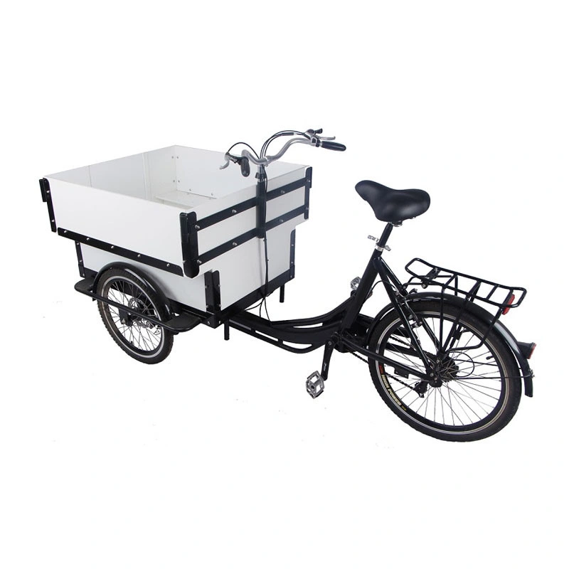 Electric Mobile Cargo Bike Trends Style White Color Motorized Tricycles for Adults Family Kids Children Scooter Customizable