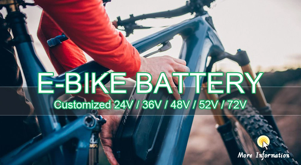 High-Quality Hailong No. 1 Battery for Electric Bicycle/Escooter/Richshaw/Tricycle/Motor Cycle/City Bike/MTB