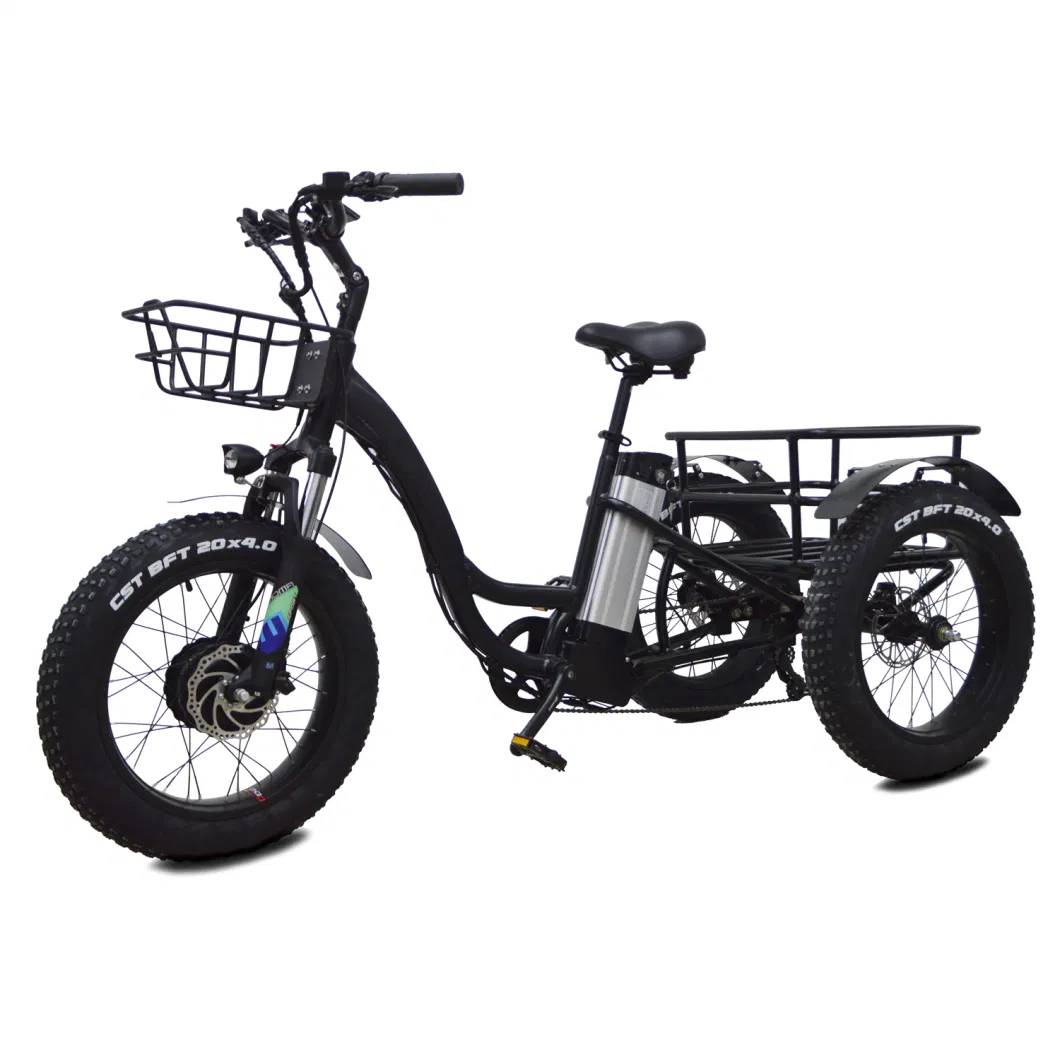 Factory Supplies Three Wheel Electric Bicycle Wheels Trike Fat Tire Electric Tricycle